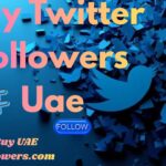 Which Twitter Views UAE Provider Delivers