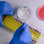 Magnetic Beads Protein Purification