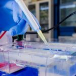 Protein G Column Antibody Purification