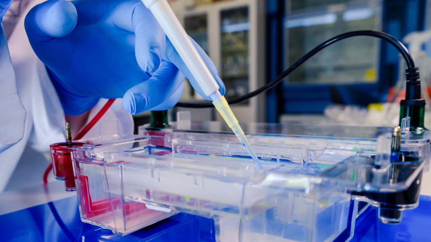 Protein G Column Antibody Purification